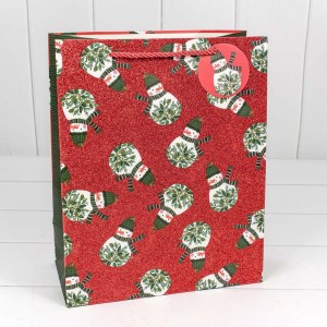 Пакет подарочный