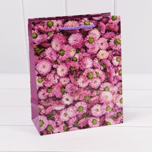 Пакет подарочный