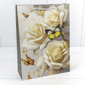 Пакет подарочный       