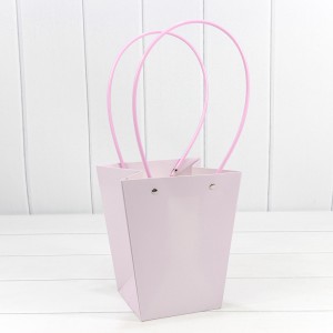 Пакет подарочный            