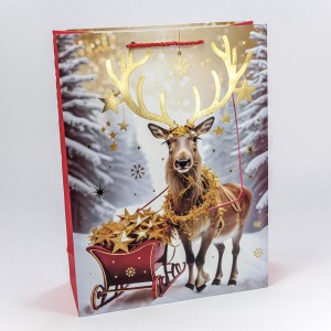 Пакет подарочный      