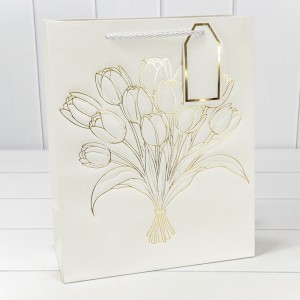 Пакет подарочный 