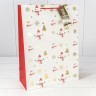 Пакет подарочный Пакет подарочный