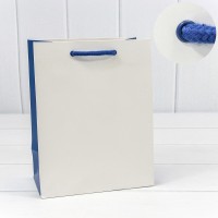 Пакет подарочный       