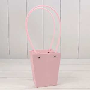 Пакет подарочный    