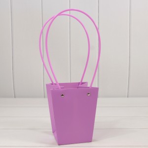 Пакет подарочный    