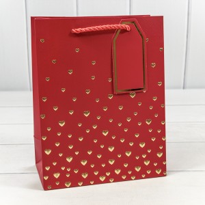 Пакет подарочный     