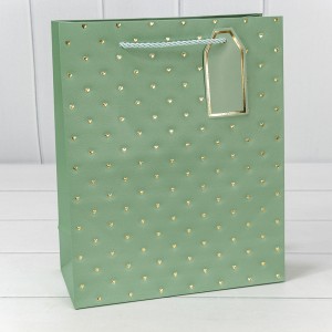 Пакет подарочный   