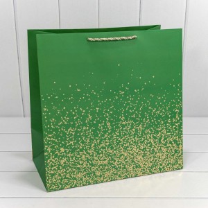 Пакет подарочный