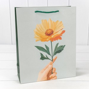 Пакет подарочный    