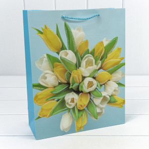 Пакет подарочный  