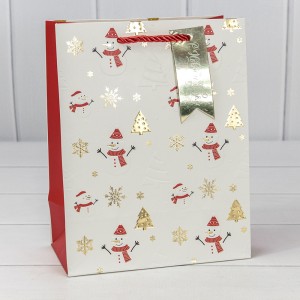 Пакет подарочный 