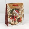 Пакет подарочный Пакет подарочный