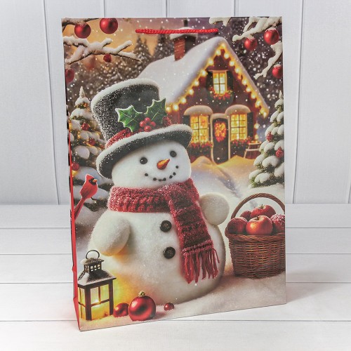 Пакет подарочный