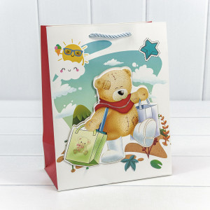 Пакет подарочный 