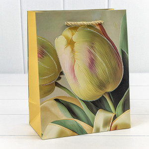 Пакет подарочный     