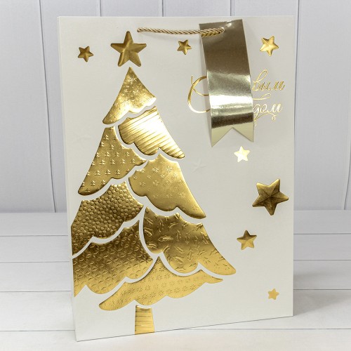 Пакет подарочный