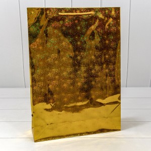 Пакет подарочный